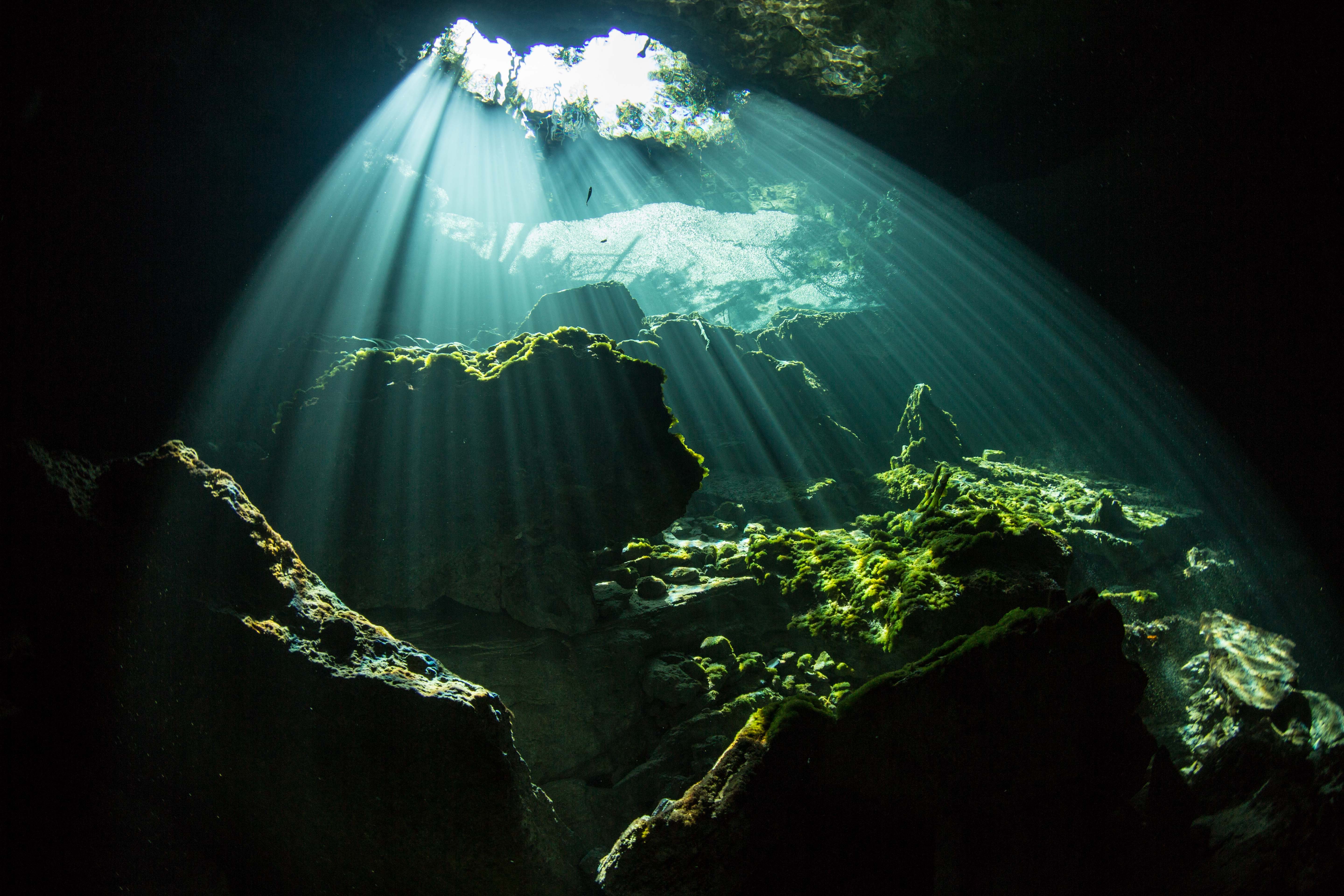 Underwater Utopia